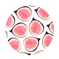 Watercolor set of fresh figs, slices of figs and leaves on a white background. Royalty Free Stock Photo