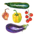 Watercolor paprika, eggplant, zucchini, onion, tomatoes