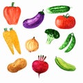 Watercolor set of fresh vegetables