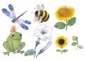 watercolor set with frog, bumblebee, flower, dragonfly and sunflowers Royalty Free Stock Photo