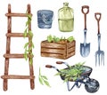 Watercolor set of garden objects a ladder, wooden box, , watering can, flowerpot, cart. Gardening tools. Spring garden Royalty Free Stock Photo