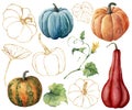 Watercolor set with golden pumpkins. Hand painted red, blue, orange, stripe gourds and leaves isolated on white Royalty Free Stock Photo