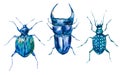 Watercolor set of green beetles.