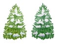 Watercolor set of green conifer trees isolated on white