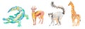 Set of illustrations with crocodile,giraffe,lemur,gazelle drawn with wax crayons.Clip art with animals on white isolated backgroun Royalty Free Stock Photo