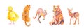 Set of illustrations with leopard,giraffe,lemur,kangaroo,duck drawn with wax crayons.Clip art with animals on white isolated backg Royalty Free Stock Photo