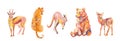 Set of illustrations with leopard,giraffe,lemur,kangaroo drawn with wax crayons.Clip art with animals on white isolated background Royalty Free Stock Photo