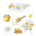 Watercolor set, honey, honeycombs and daisies