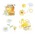Watercolor set, honey, honeycombs and daisies