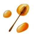 Watercolor set of honey on a stick and drops, dripping honey. Hand drawn immunity strengthening set vitamins isolated