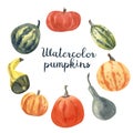 Watercolor set with illustration of different varieties of pumpkins.