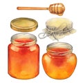 Watercolor set of isolated honey bottles, caps and dripper