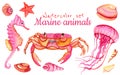 Watercolor pink set marine inhabitants