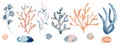 Watercolor set of isolated objects drawing blue and pink algae and corals