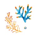 Watercolor set of isolated objects drawing bright algae and corals Royalty Free Stock Photo