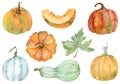 Watercolor set of isolated orange pumpkins. Thanksgiving collection of pumpkin harvest. Autumn set. Royalty Free Stock Photo