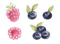 Watercolor set of juicu wild berries - blueberries, pink raspberries. hand drawn sweet food illustration isolated. Art Royalty Free Stock Photo
