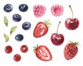 Watercolor set of juicu wild berries blueberries, raspberries, lingonberries, strawberries, blueberries, cherries. hand Royalty Free Stock Photo