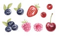 Watercolor set of juicu wild berries blueberries, raspberries, lingonberries, strawberries, blueberries, cherries. hand Royalty Free Stock Photo