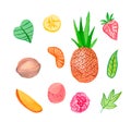 Watercolor set of juicy fruits.Clip art food illustration