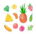 Watercolor set of juicy fruits.Clip art food illustration