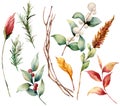 Watercolor set with leaves and berries. Hand painted fir branch, snowberry, yellow leaves isolated on white background