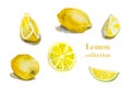 Watercolor set of lemons in different view, full, sliced, quarters and segments, isolated on white background