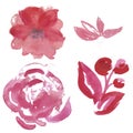 Watercolor set of light pink and lilac garden flowers: rose. anemona
