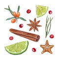 Watercolor set of lime slices, cinnamon, star anise, spruce needles, sea buckthorn, gingerbread cookie, red berries. Clip art