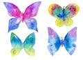 Watercolor set of multicolored butterflies isolated on the white background.
