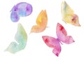 Watercolor set of multicolored butterflies isolated on the white background. Royalty Free Stock Photo