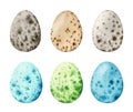 Watercolor set with natural and colored quail eggs isolated on white background Royalty Free Stock Photo