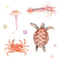Watercolor set ocean, sea: turtle, crab, squid, jellyfish, pearls