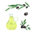 Watercolor set with olives, olive branches, a bottle of olive oil