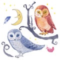 Watercolor set with owls, tree and Moon