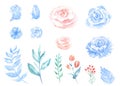 Watercolor set of pink and blue sketch flowers isolated on a white background Royalty Free Stock Photo