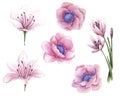 Watercolor set of pink flowers, hand drawn illustration of flowers isolated on white background. Royalty Free Stock Photo