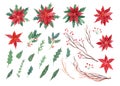 Watercolor set with poinsettia flowers,  tree branches and leaves of holly with berries Royalty Free Stock Photo