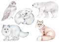 Watercolor set of polar and winter forest animals - snowy owl, fox, polar bear and cubs, polar fox.