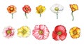 Watercolor set of poppies Royalty Free Stock Photo