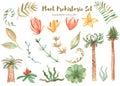 Watercolor set of prehistoric plants.