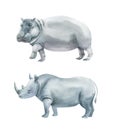 Watercolor set of rhinoceros and hippopotamus isolated on white background. Hand drawn realistic illustration Royalty Free Stock Photo