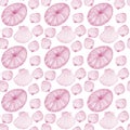 Watercolor set of sammer shell. Hand drawn cute pattern pink Shells on a white background. Use for banners posters texctiles cover