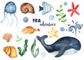 Watercolor set with sea creatures, fish, whale, starfish, jellyfish, seaweed, shells