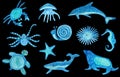 Watercolor set with sea life animals decorated with white patterns. Royalty Free Stock Photo