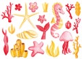 Watercolor set of sea shell, seahorse, starfish on isolated white background, hand drawn, summer marine clipart Royalty Free Stock Photo