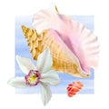 Watercolor set of seashell and orchid on wave on white background for your menu or design