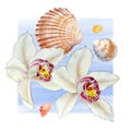 Watercolor set of seashell and orchid on wave on white background for your menu or design