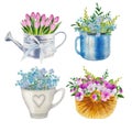 watercolor set of spring flower bouqets in cup, jug and wooden box