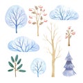 Watercolor set with stylized trees: pine, frosty trees and bushes, rowans, fir-tree